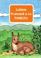 Lumea frumoasa a Lui Dumnezeu - carte de colorat