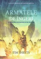 Armatele de îngeri - eliberarea războinicilor din cer