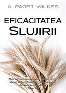 Eficacitatea Slujirii