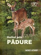 Haihui prin padure
