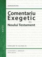 Comentariu exegetic al Noului Testament. Ioan