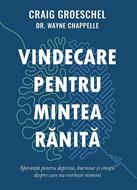 Vindecare pentru mintea rănită - Craig Groeschel