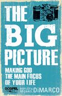 The Big Picture (eBook)