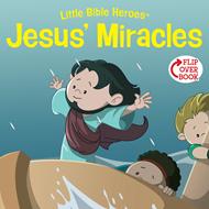 Jesus' Miracles (eBook)