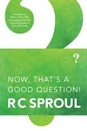 Now, That's a Good Question! (eBook)