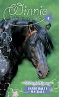 Midnight Mystery (eBook)