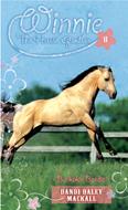 Buckskin Bandit (eBook)