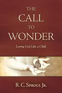 The Call to Wonder (eBook)