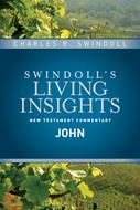 Insights on John (eBook)