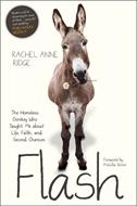 Flash (eBook)