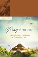 PrayerPoints (eBook)