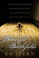 Beautiful Battlefields (eBook)