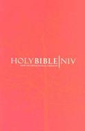 NIV Bible Popular Paperback Orange