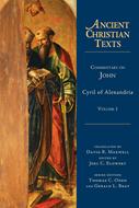 Commentary on John (Digital delivered electronically)