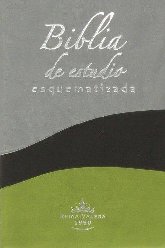 Biblia de estudio esquematizada