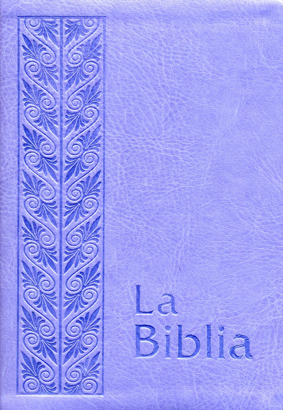 Biblia flexible lila plateada