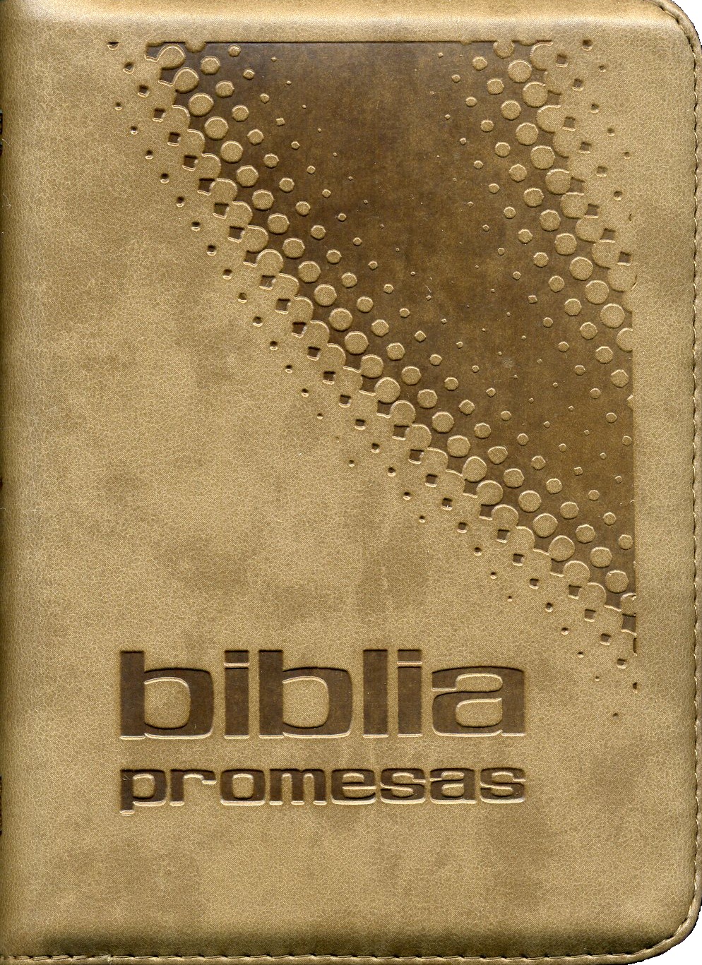 Biblia promesas