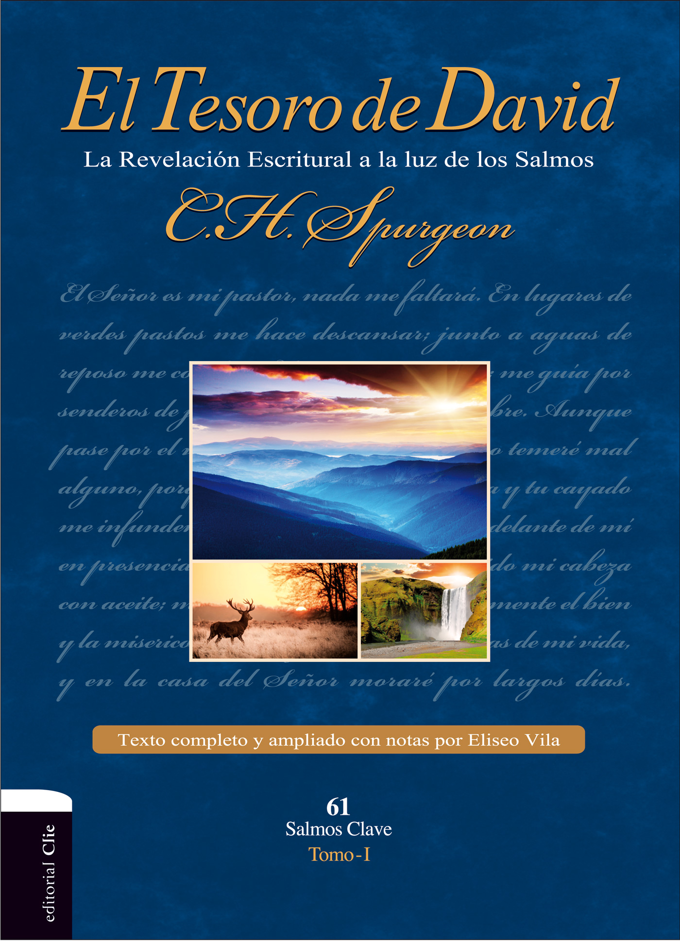 Tesoro de David Vol. 1 - Nueva edición