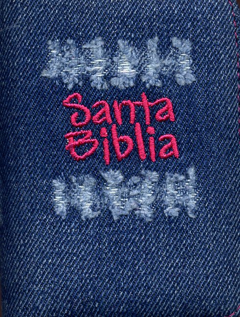 Santa Biblia de Bolsillo