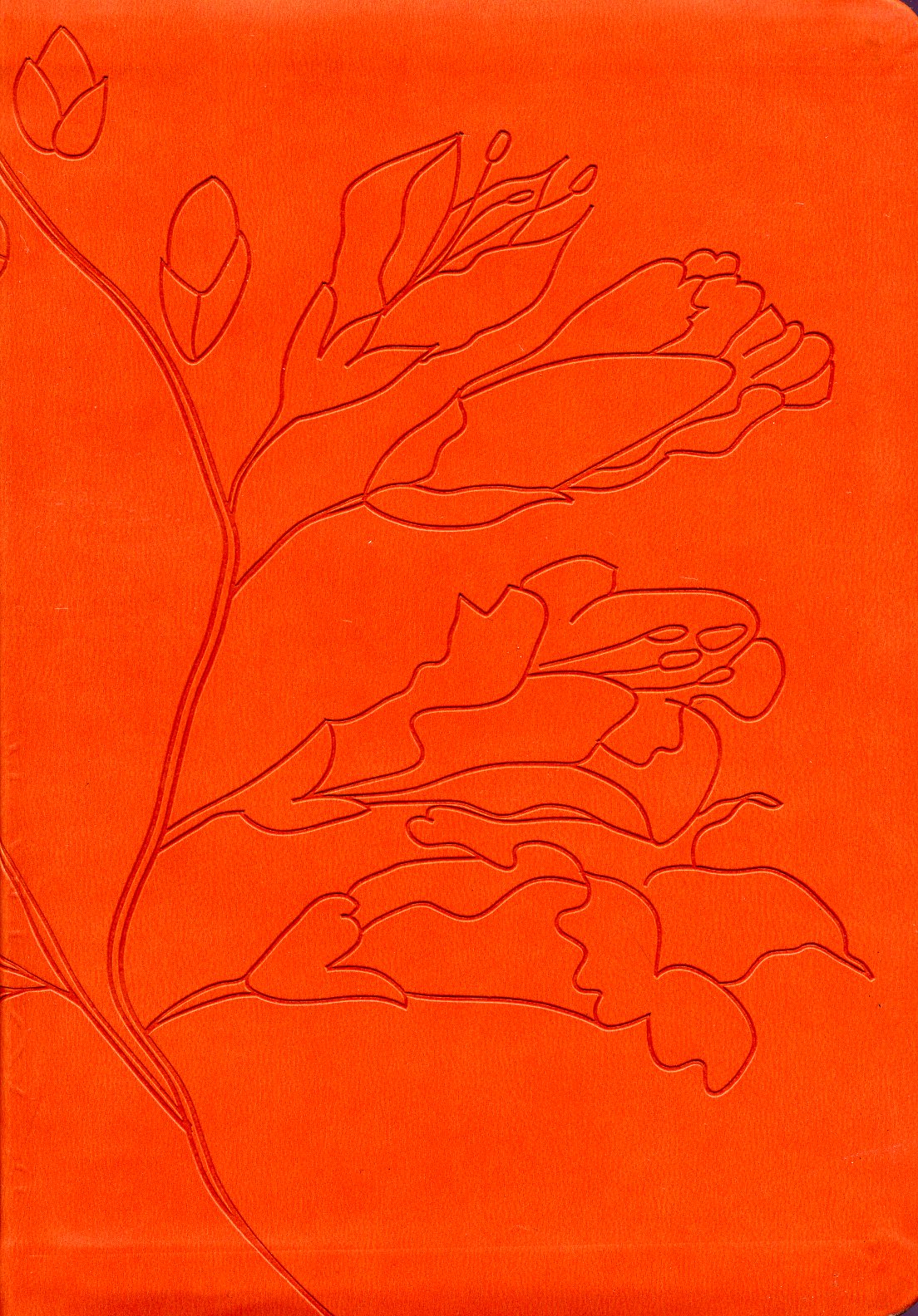 Biblia Personal RV60 Naranja Capullos