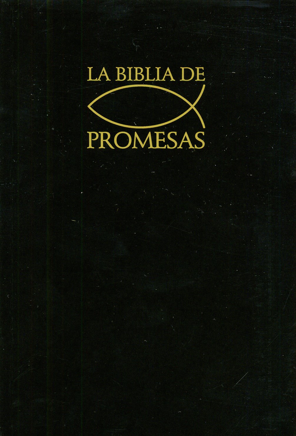 Biblia de promesas