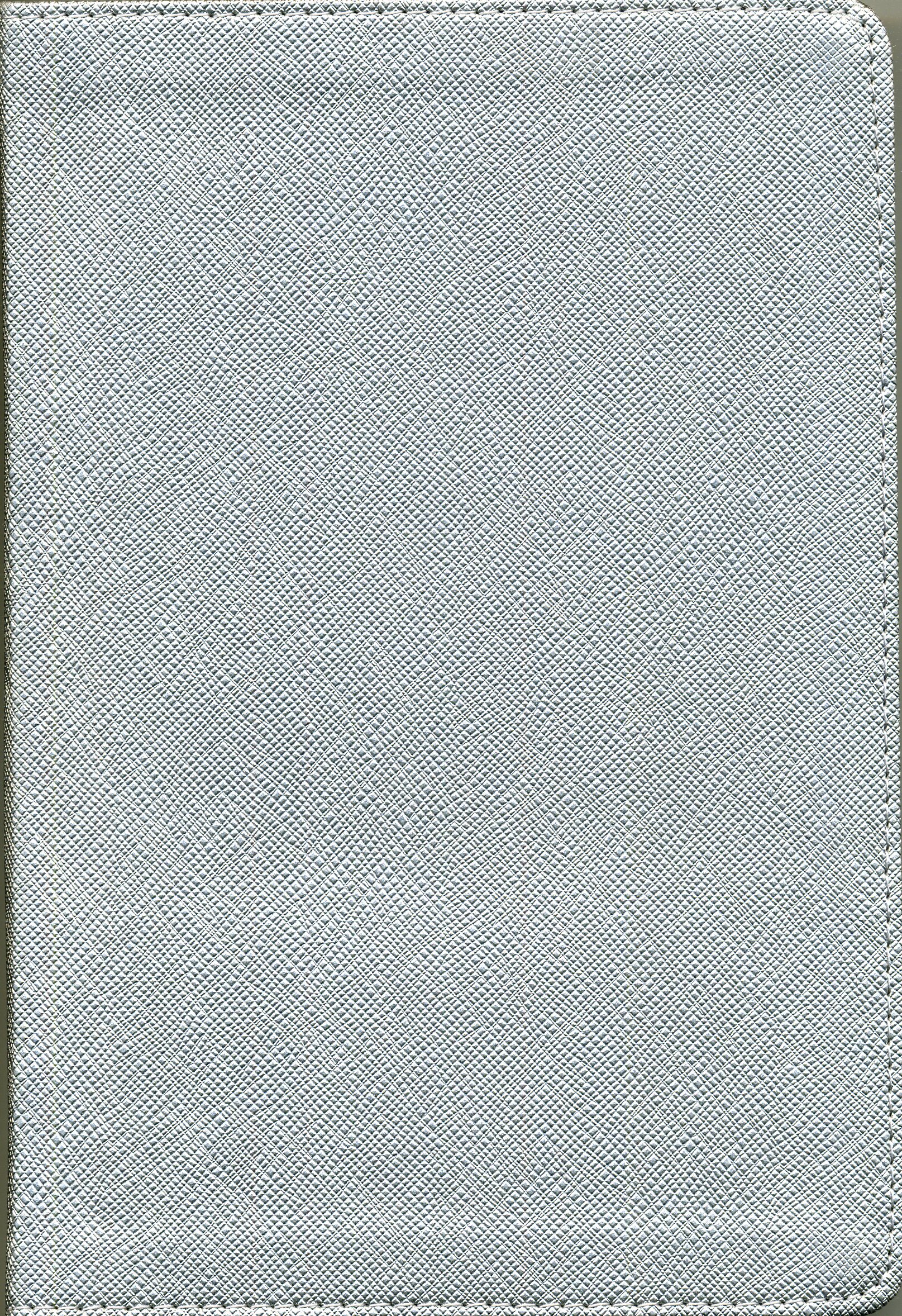 Biblia de promesas contemporánea