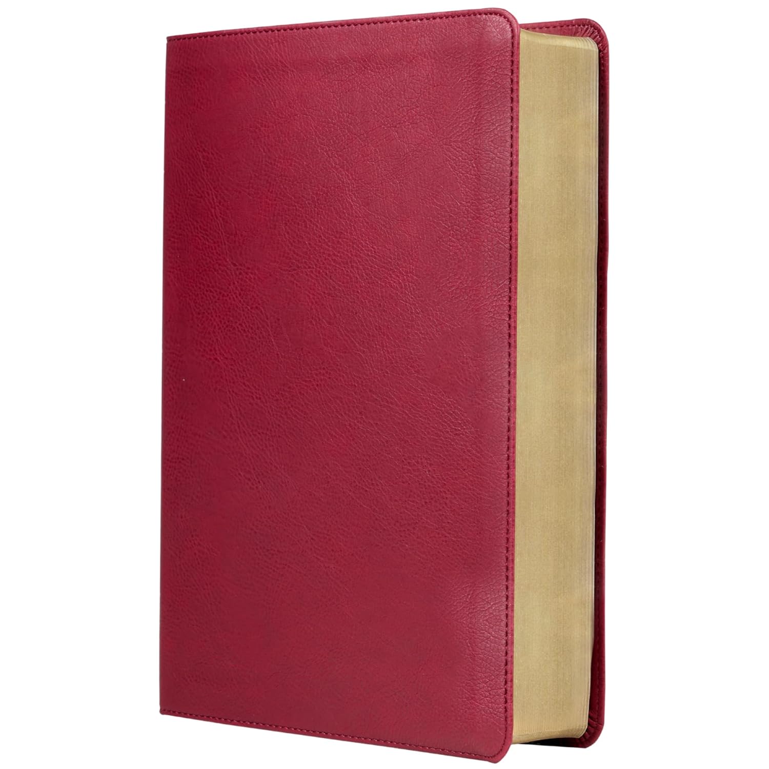 RVR Biblia de Estudio Trasfondo Cultural