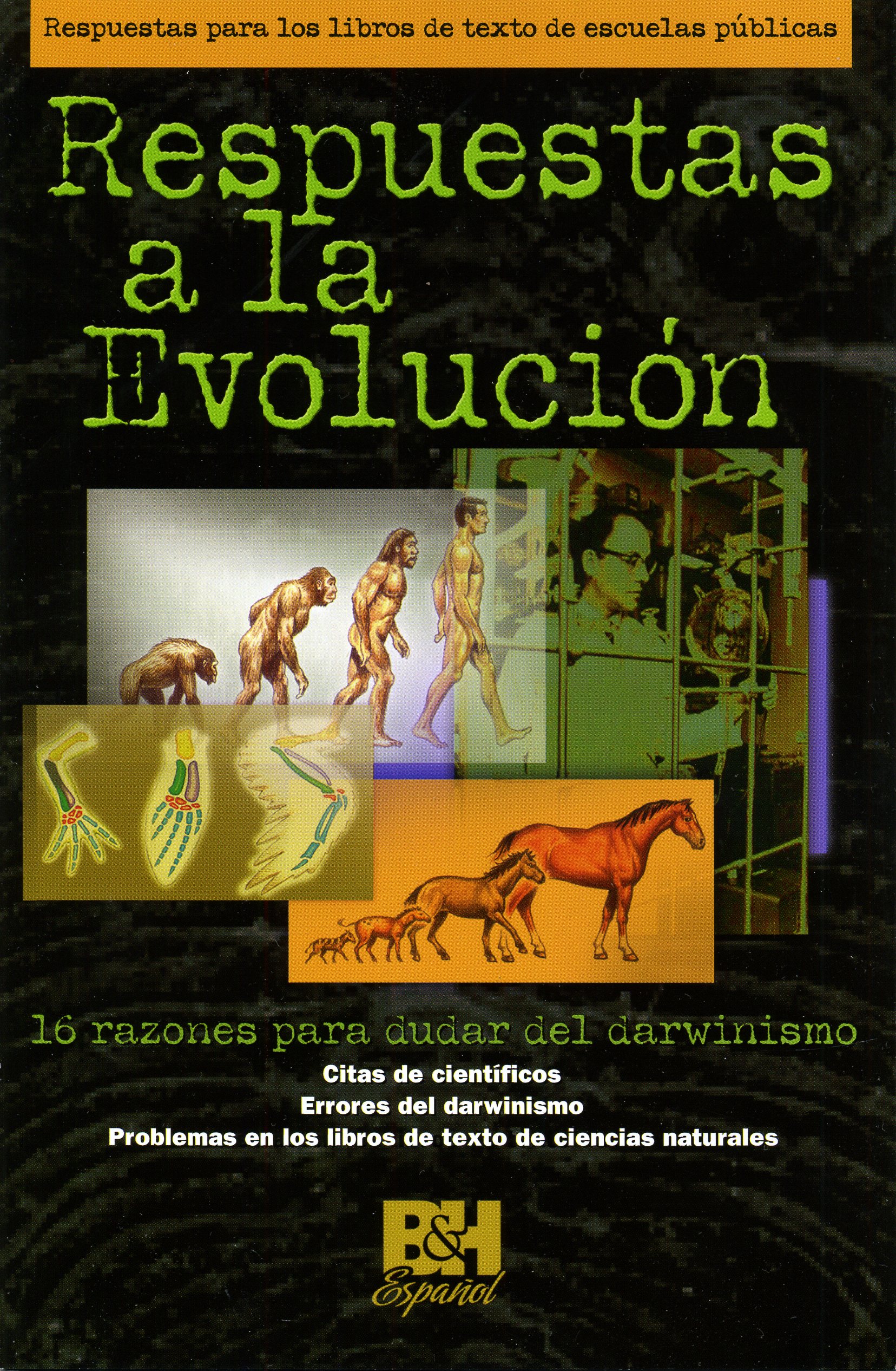 Respuestas A La Evolución