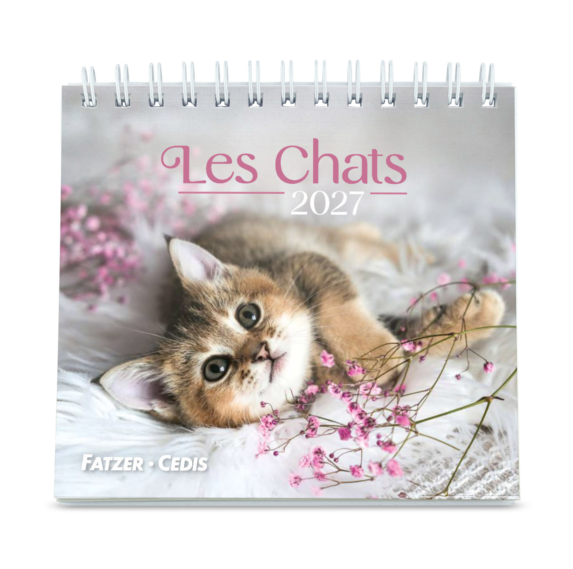 Chats calendrier petit format 2027