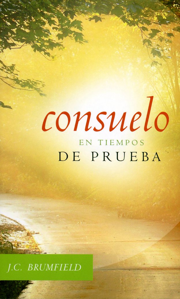 Consuelo en tiempos de prueva