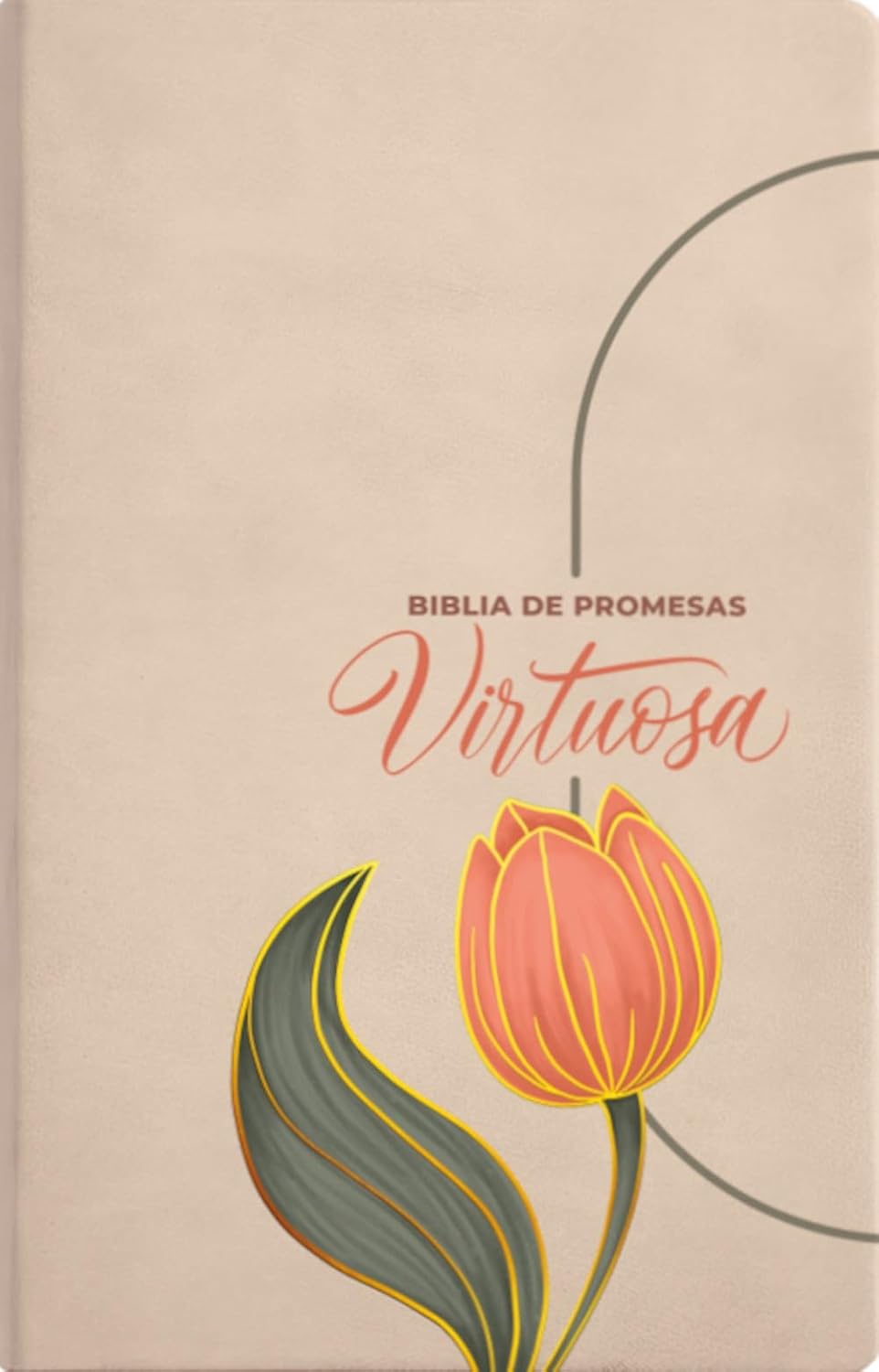 RVR 1960 Biblia de Promesas Virtuosa