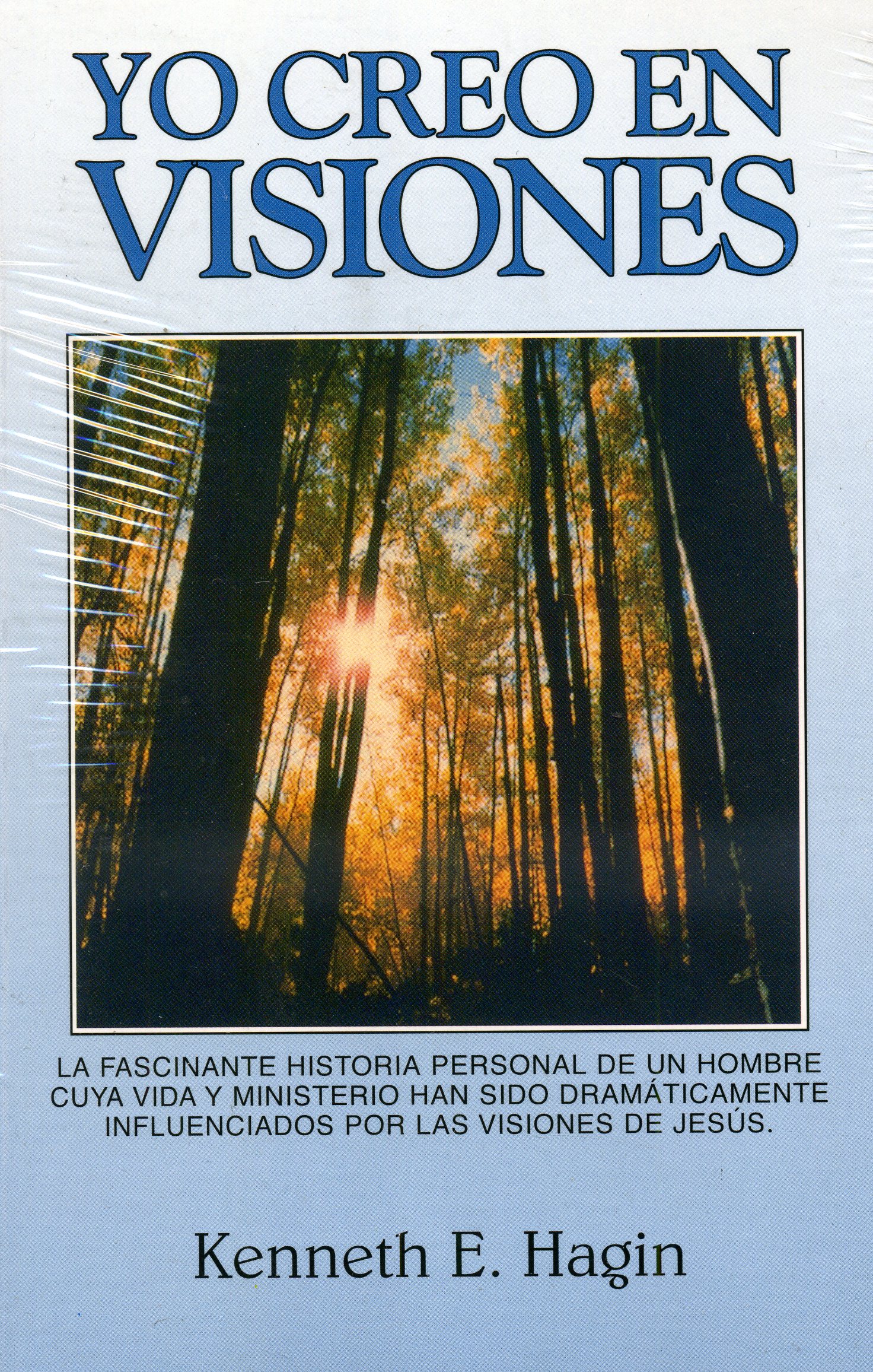 Yo creo en visiones