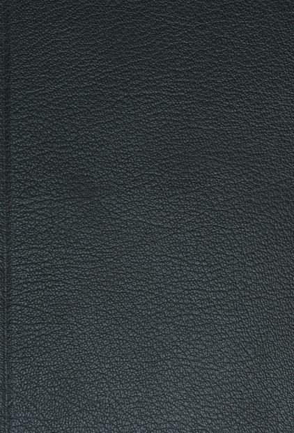 Bible Luther