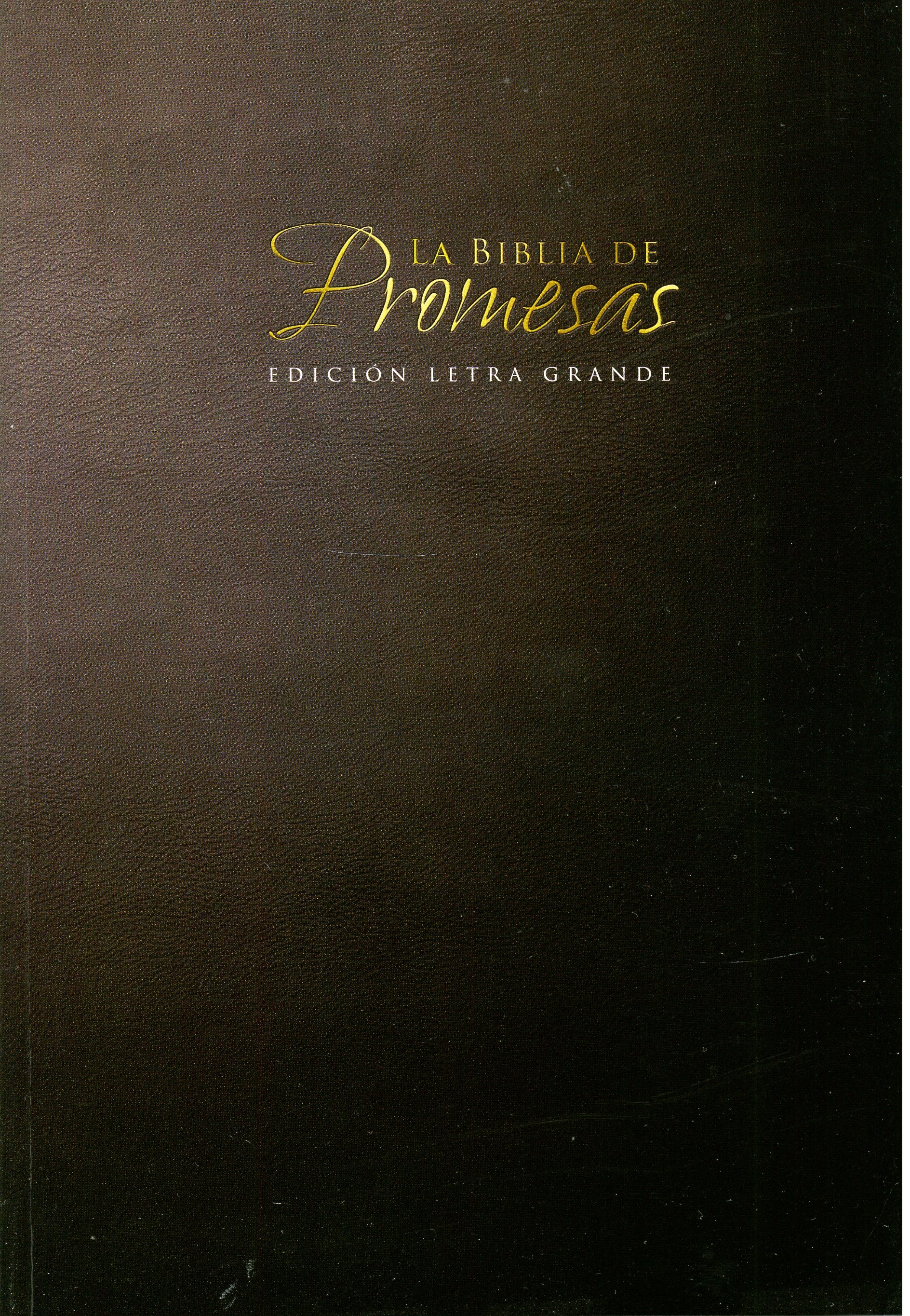 Biblia RVR60 Promesas Letra Grande