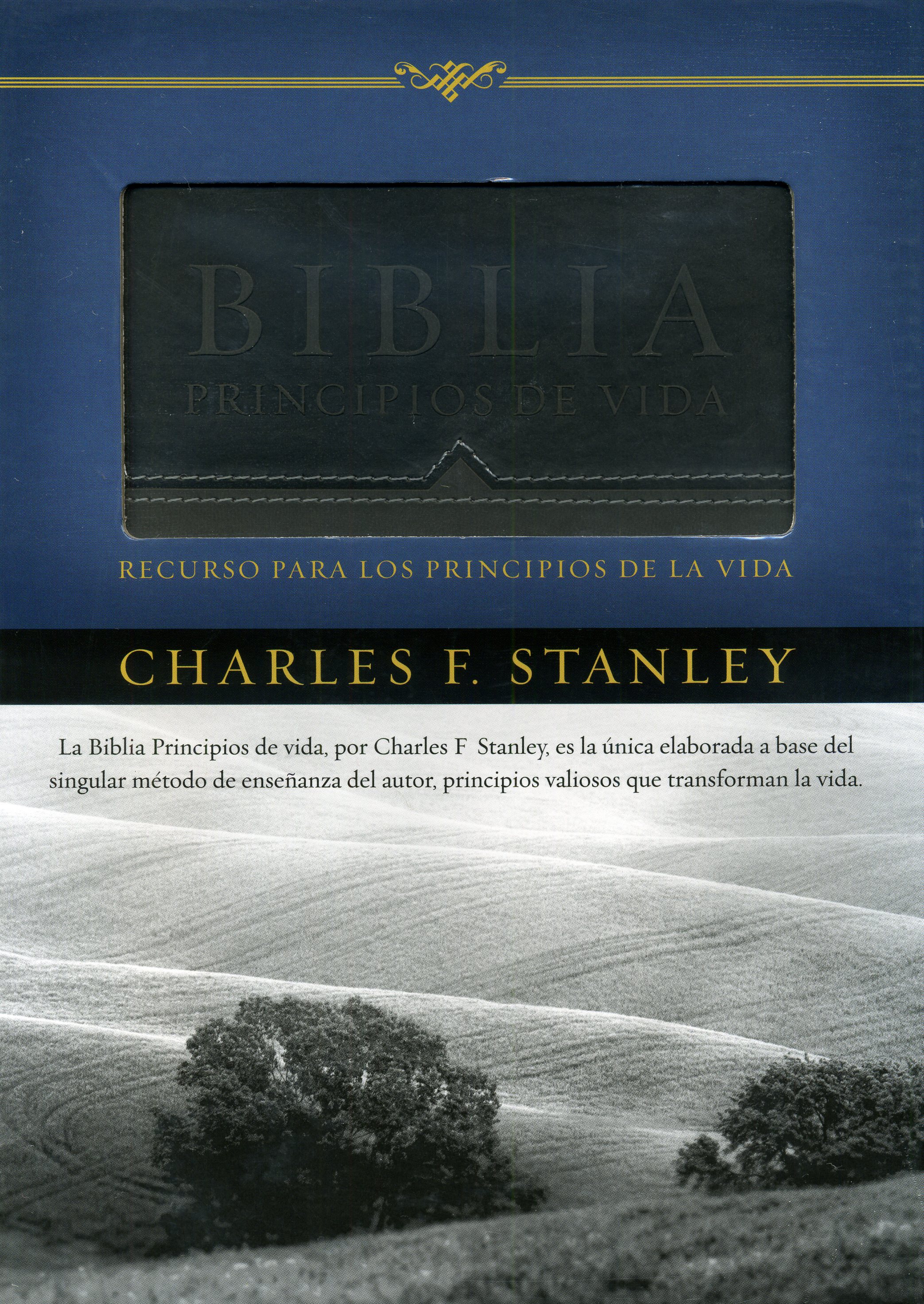 Biblia principios de vida