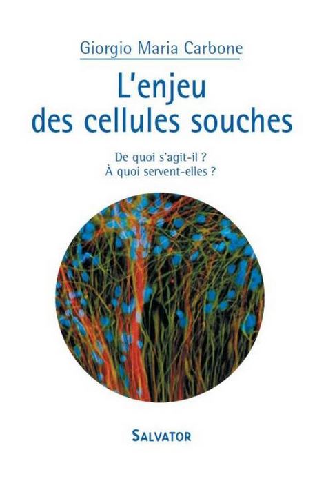 L'enjeu des cellules souches