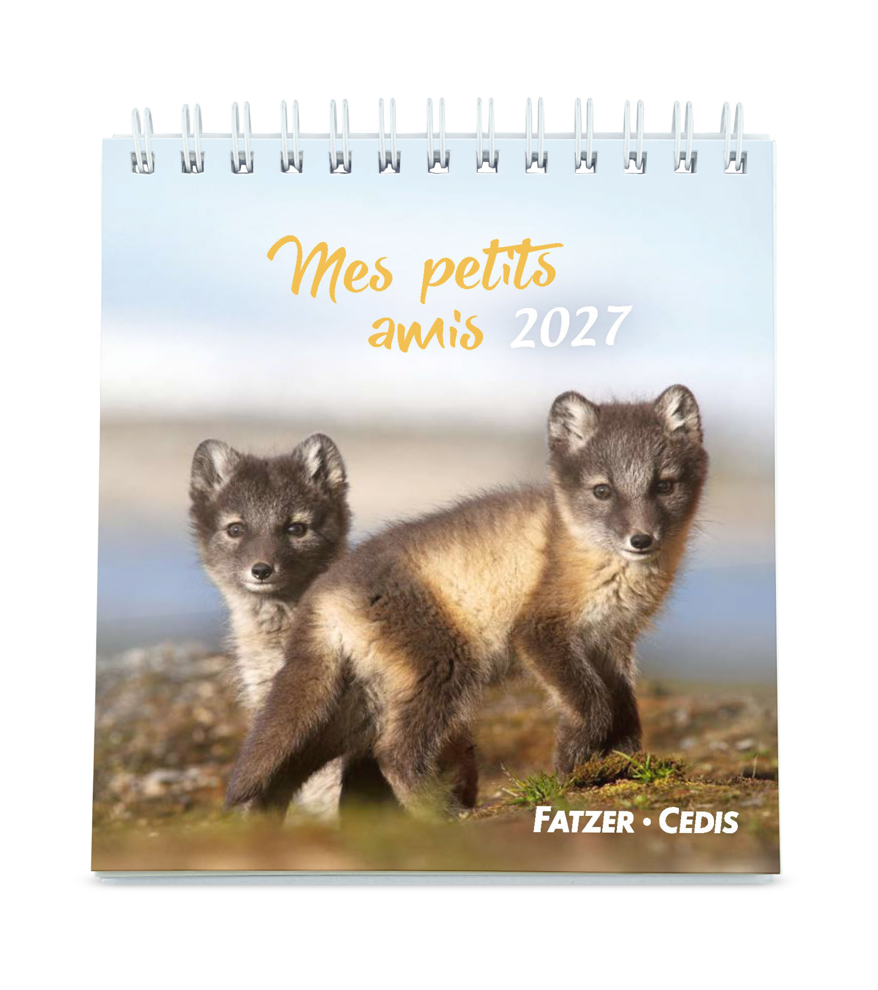 Mes petits amis calendrier 2027