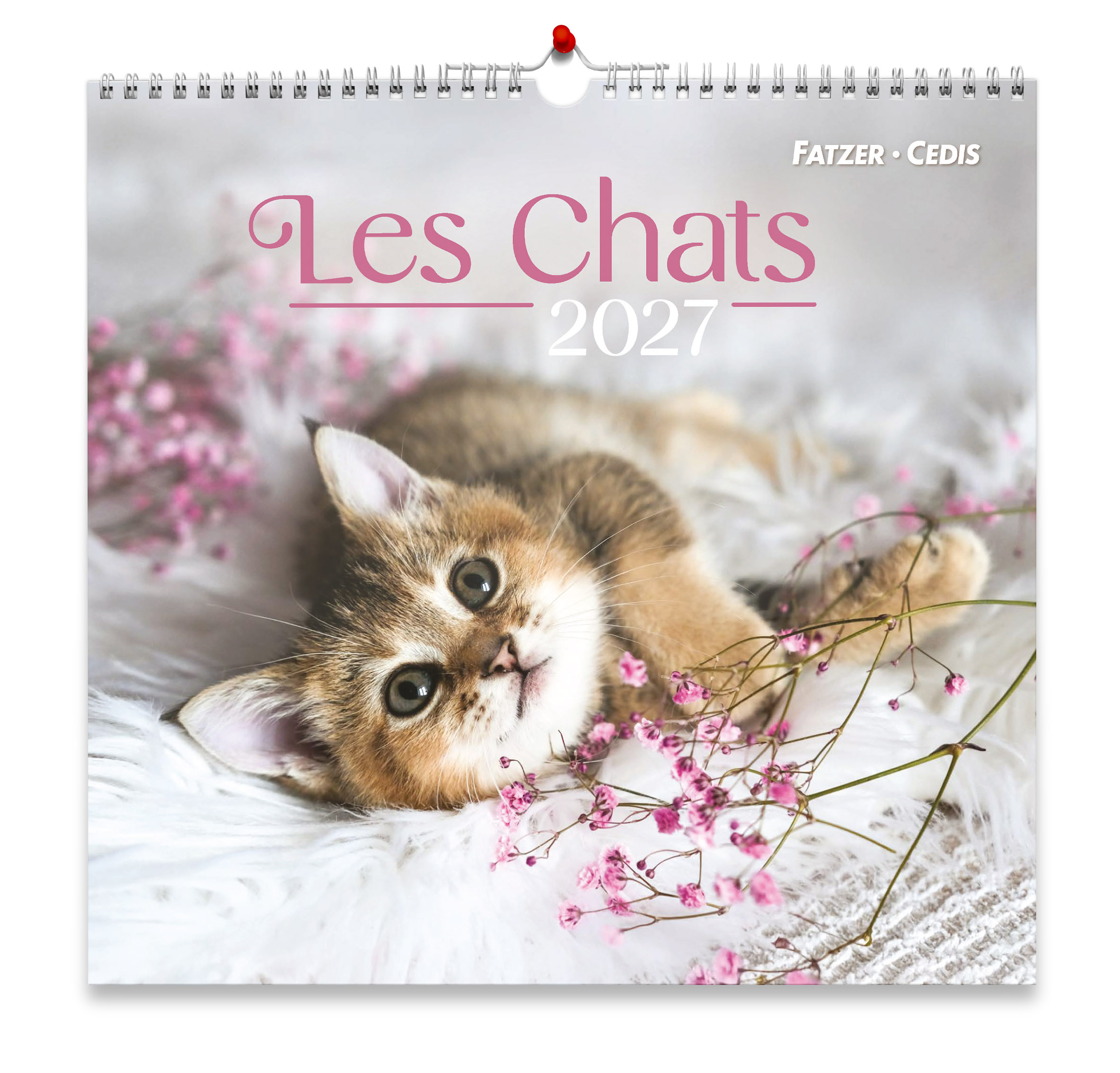 Chats calendrier grand format 2027