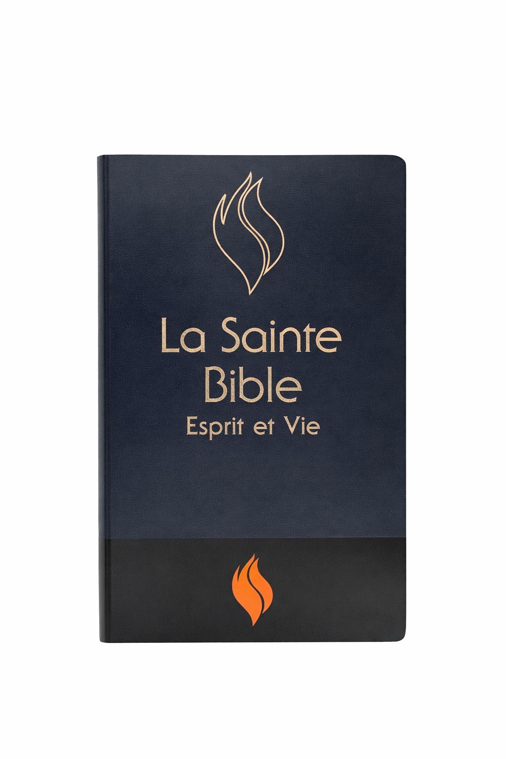 Bible d'étude Esprit et Vie Segond 1910