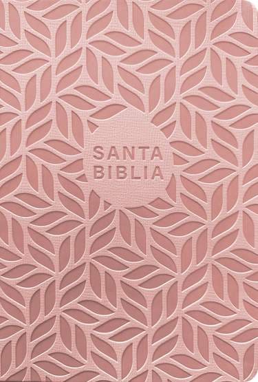 NTV Biblia Valor Premium Filament Letra Grande