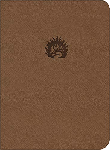 LBLA Biblia de Estudio de la Reforma