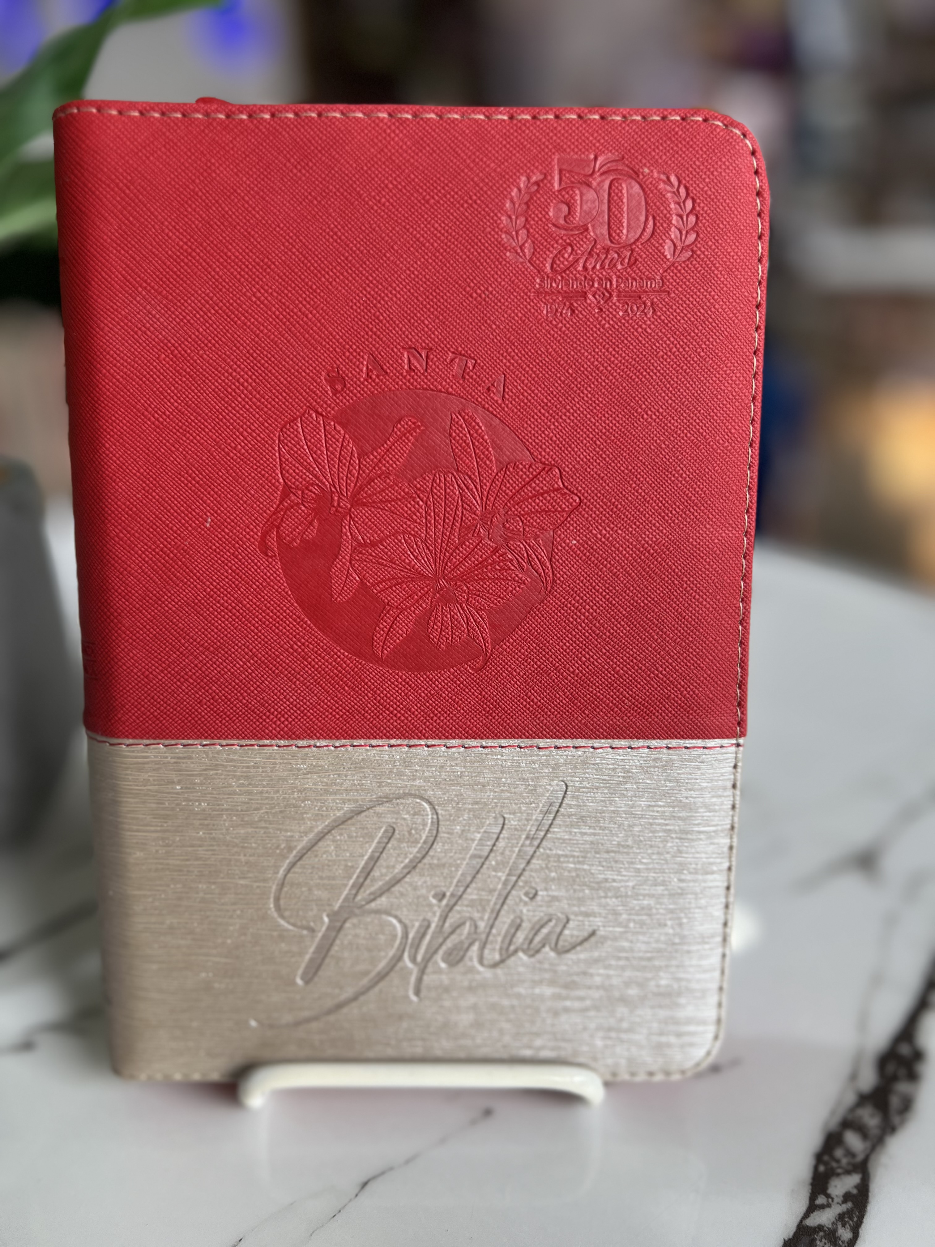 RVR 1960 Biblia de Letra Grande