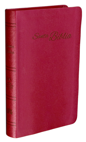 RVA 2015 Biblia Reina Valera Actualizada - Rojiza