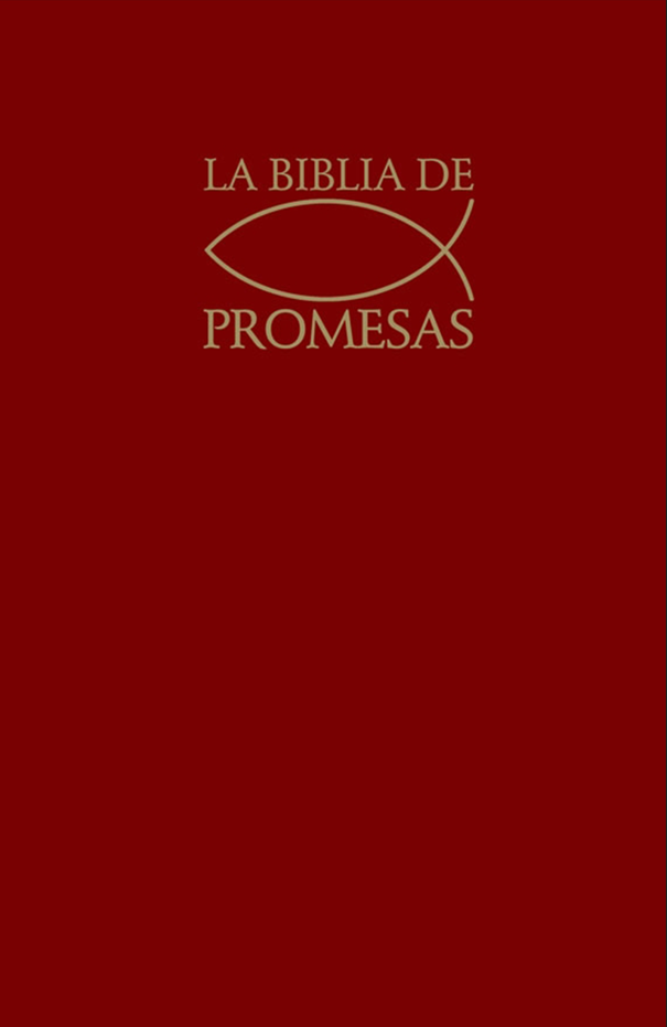 RVR 1960 Biblia de Promesas con Concordancia