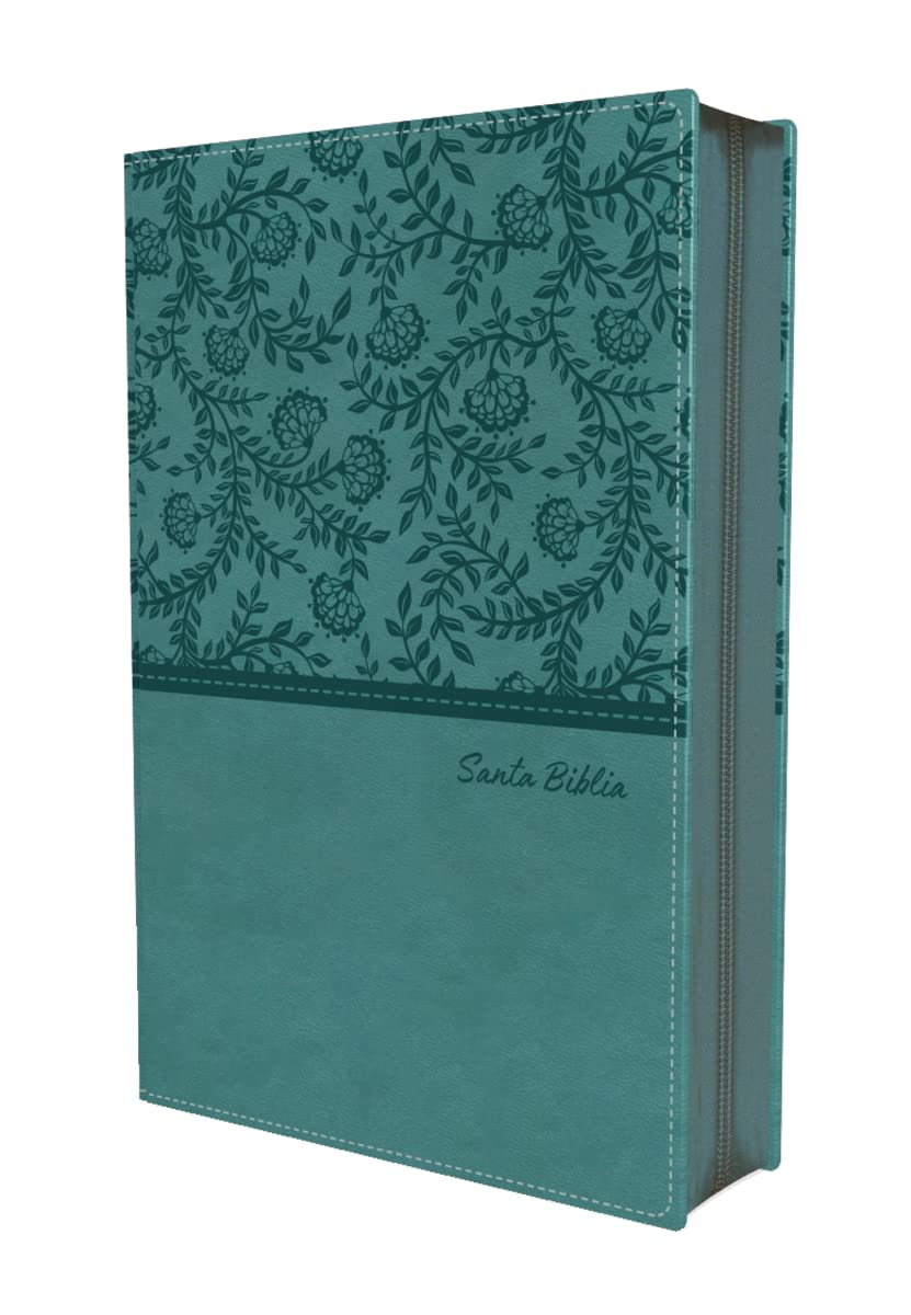 RVR 1960 Biblia Tierra Santa Letra Grande