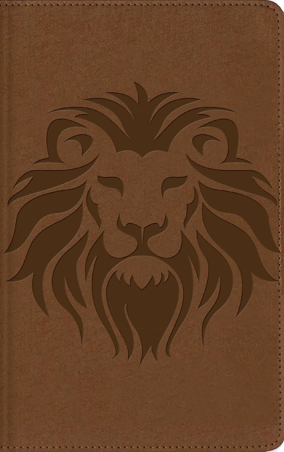 NBLA Biblia Visual de Estudio para Niños