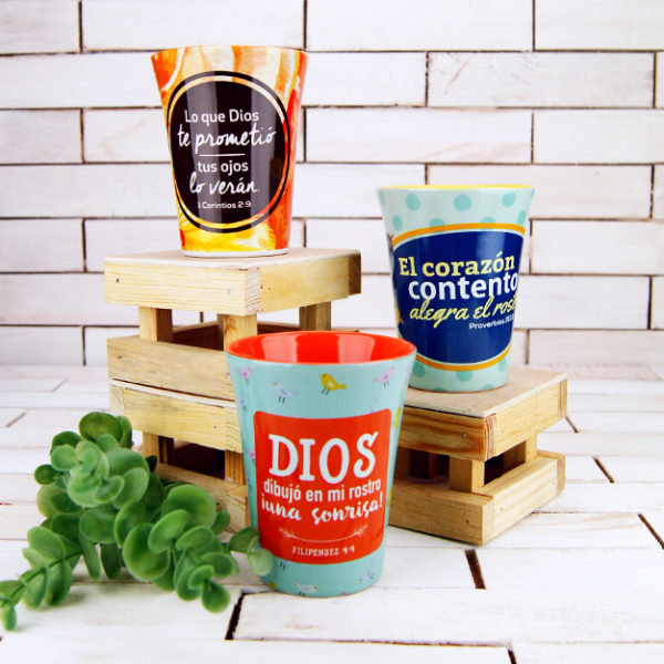 Taza Economica Inspiracion 3
