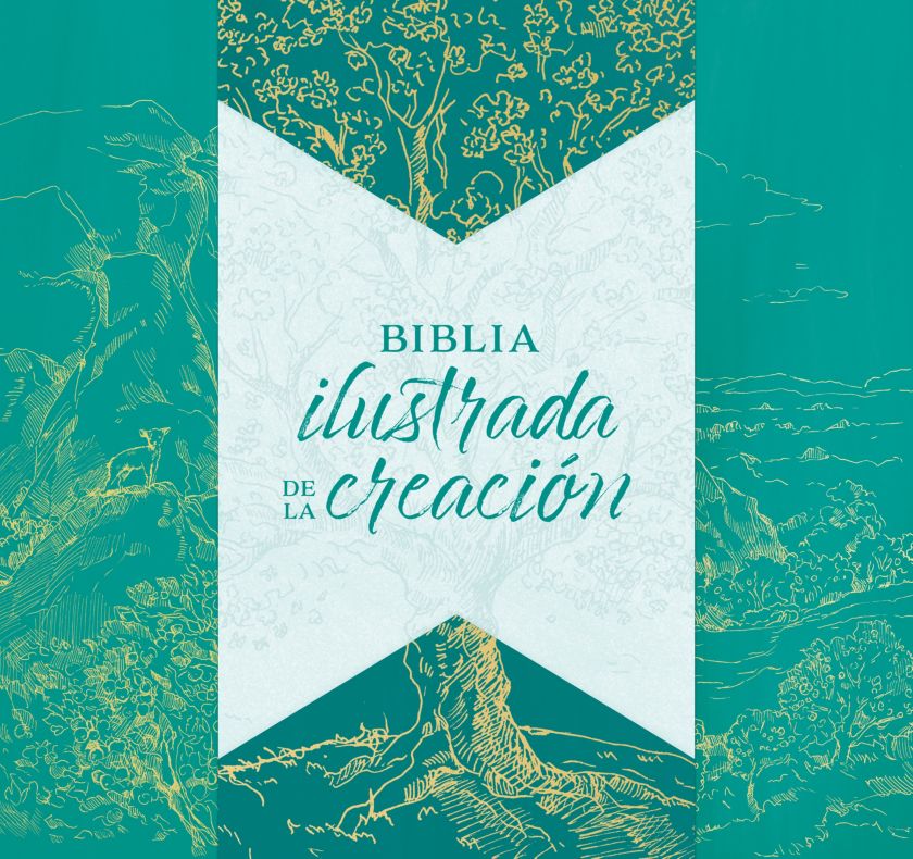 RVR1960 Biblia Ilustrada De La Creación
