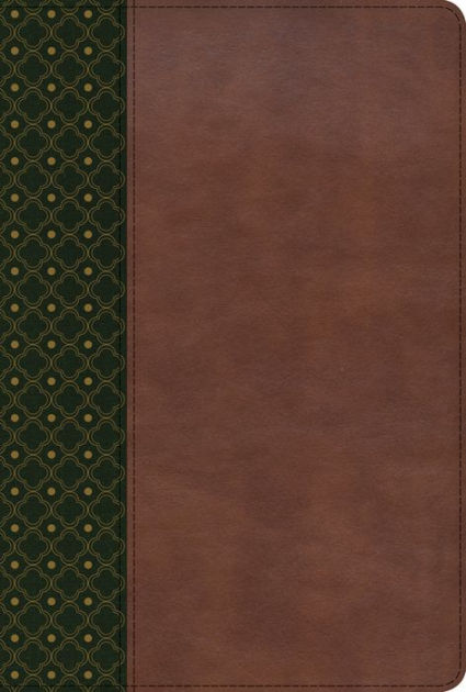 RVR 1960 Biblia de Estudio Scofield