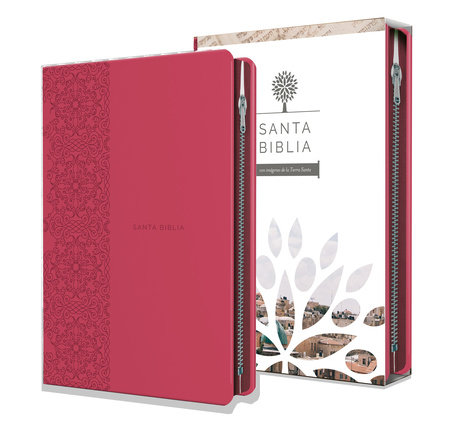 RVR1960 Biblia Tierra Santa Letra Grande